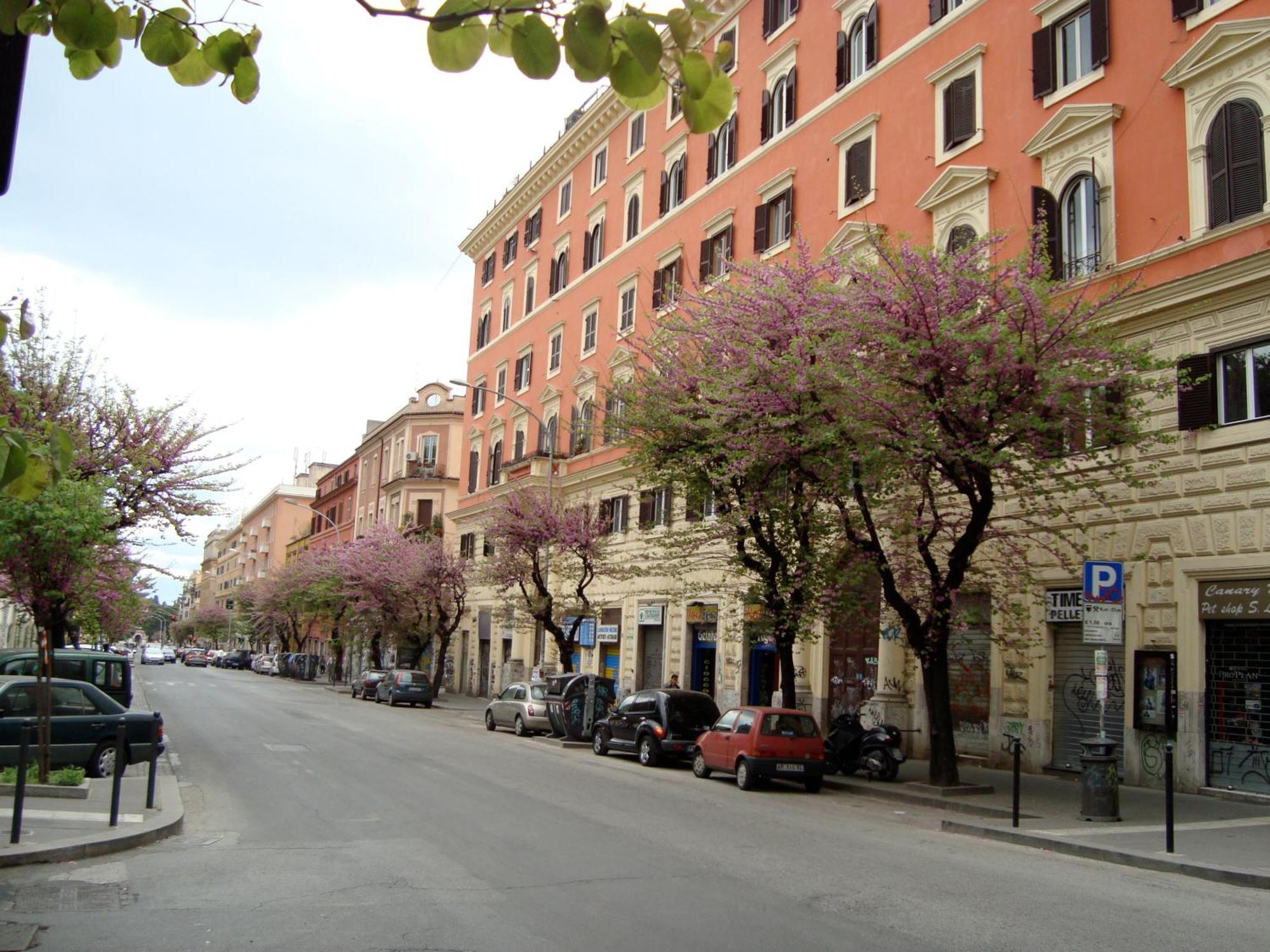 San Lorenzo Di Massimo & Luisa Apartment